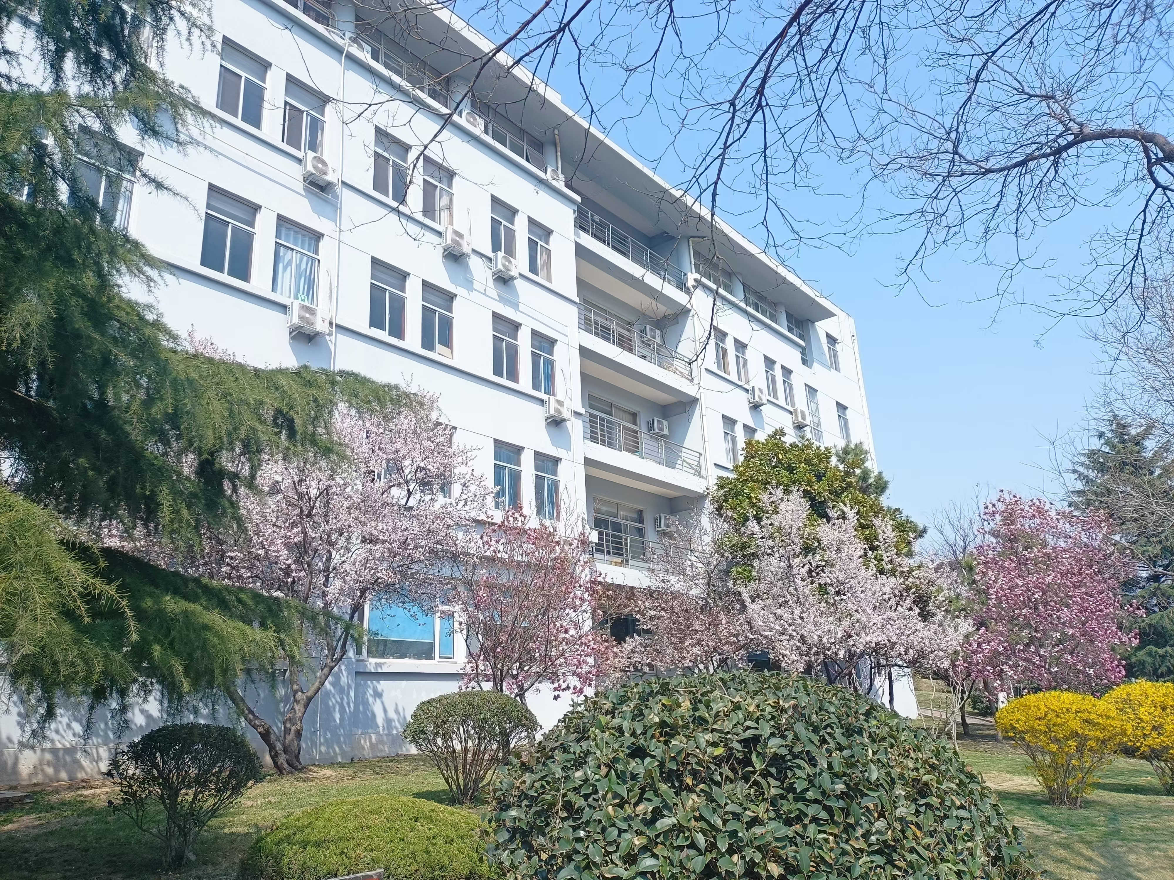 威廉希尔中文官网