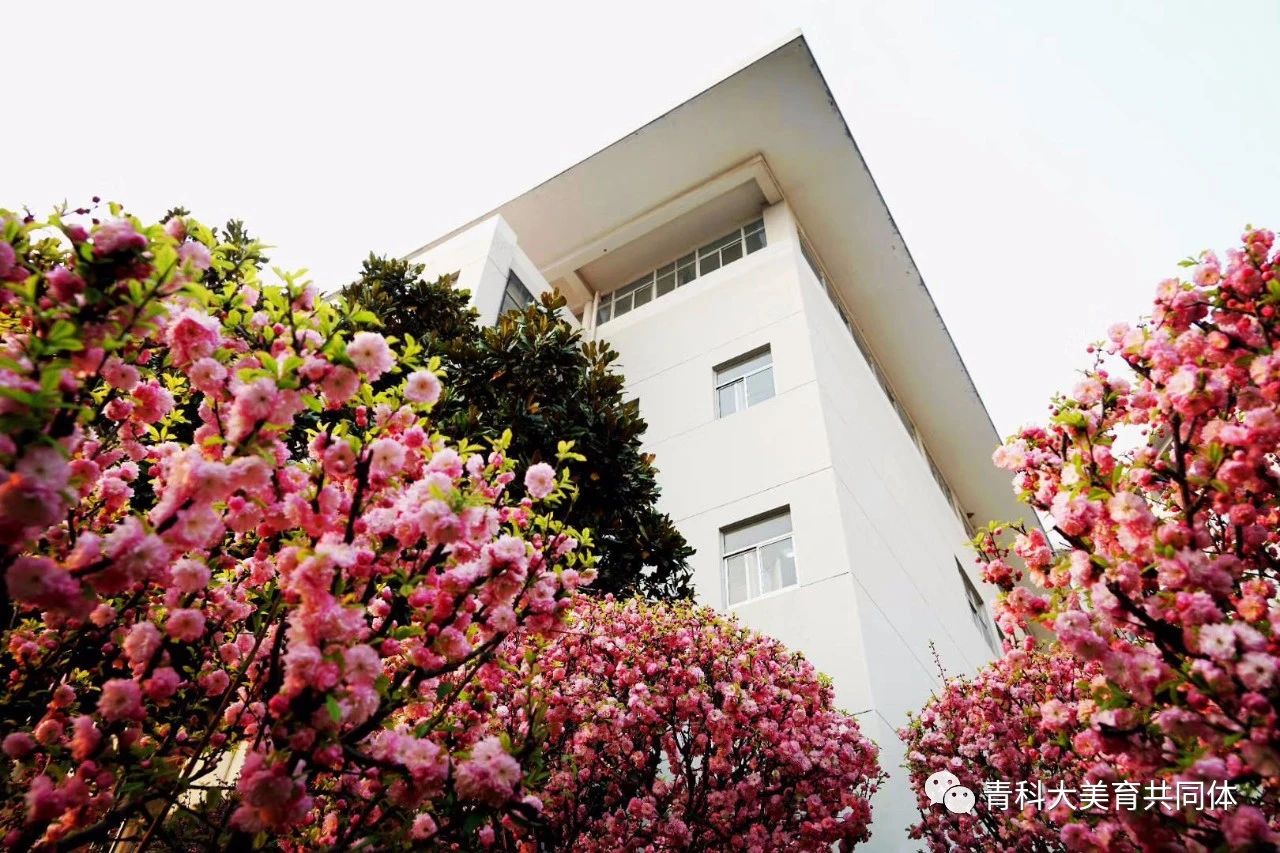 威廉希尔中文官网